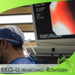 EKG-Ultraschall-Röntgen